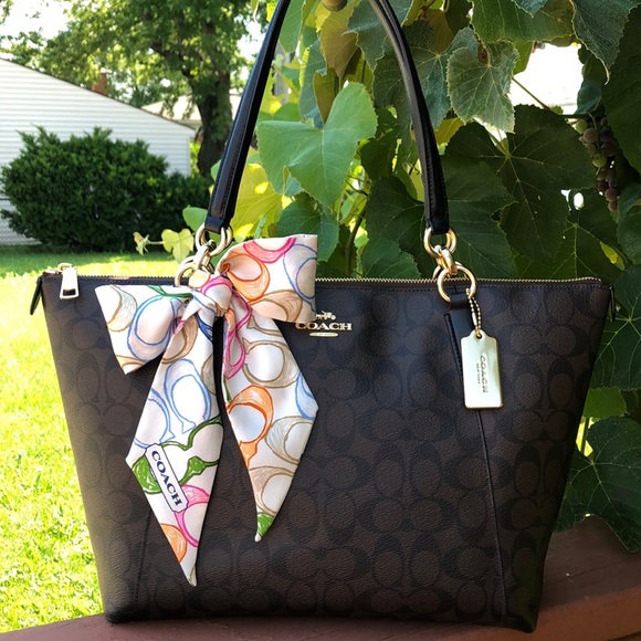 Coach Handbags - COACH F58318 AVA SIGNATURE TOTE